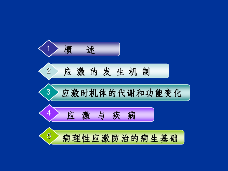 医学病生应激反应发生机制.ppt_第2页