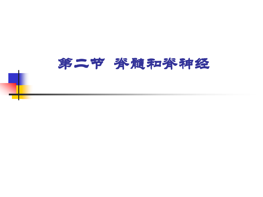 脊髓和脊神经.ppt_第1页
