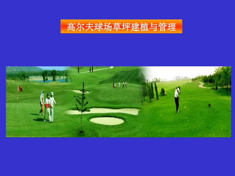 高尔夫球场草坪建植与管理.ppt_第1页