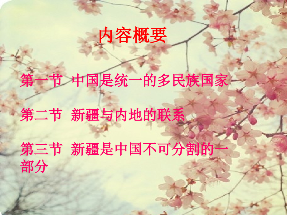 新疆地方史发展史.ppt_第1页