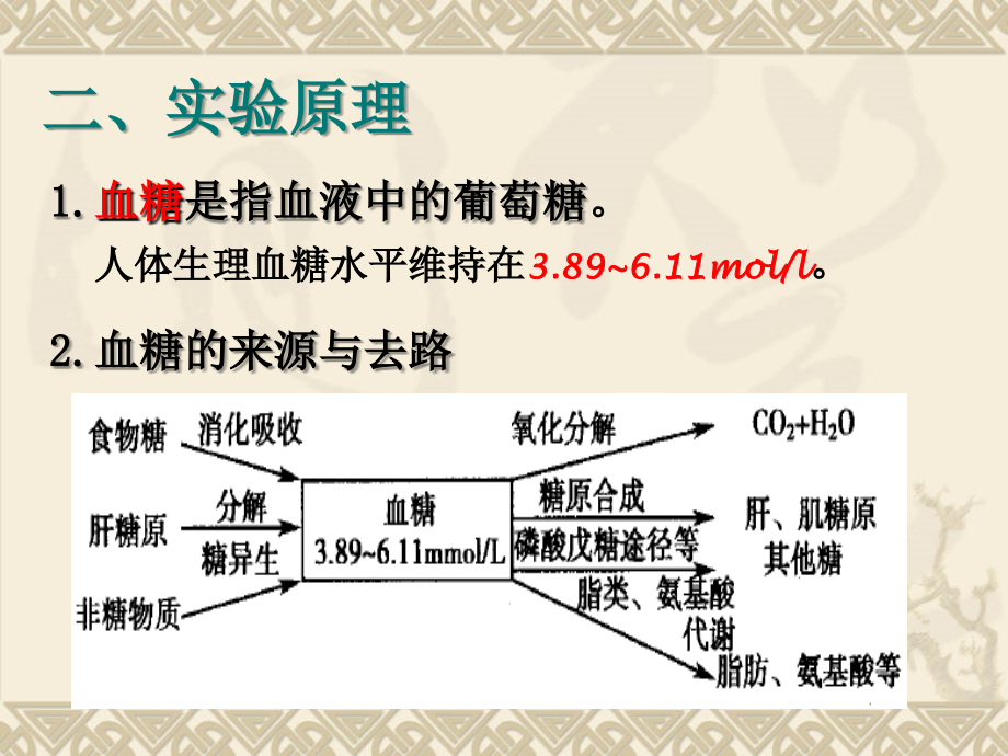 激素对血糖浓度的影响实验主题讲座课件.ppt_第2页