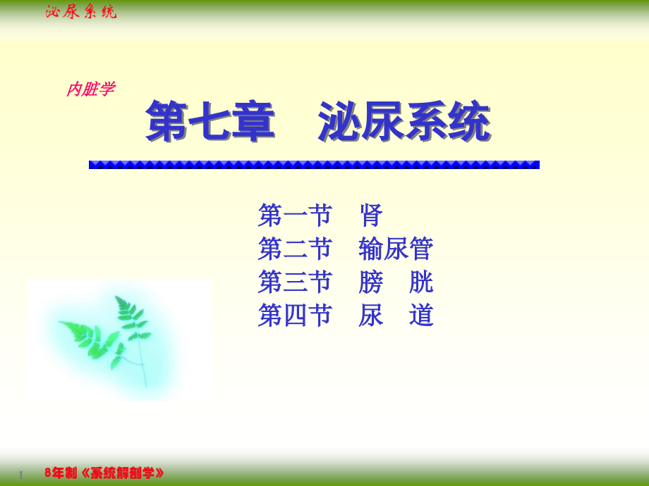 7章泌尿系统.ppt_第1页