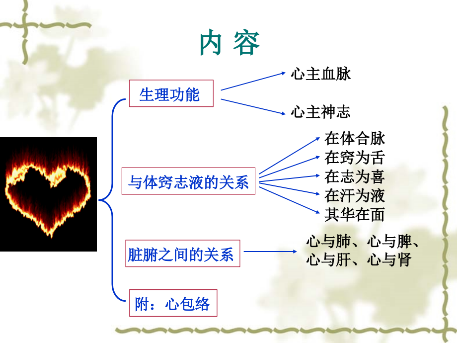 中医五脏心专题宣讲.ppt_第2页