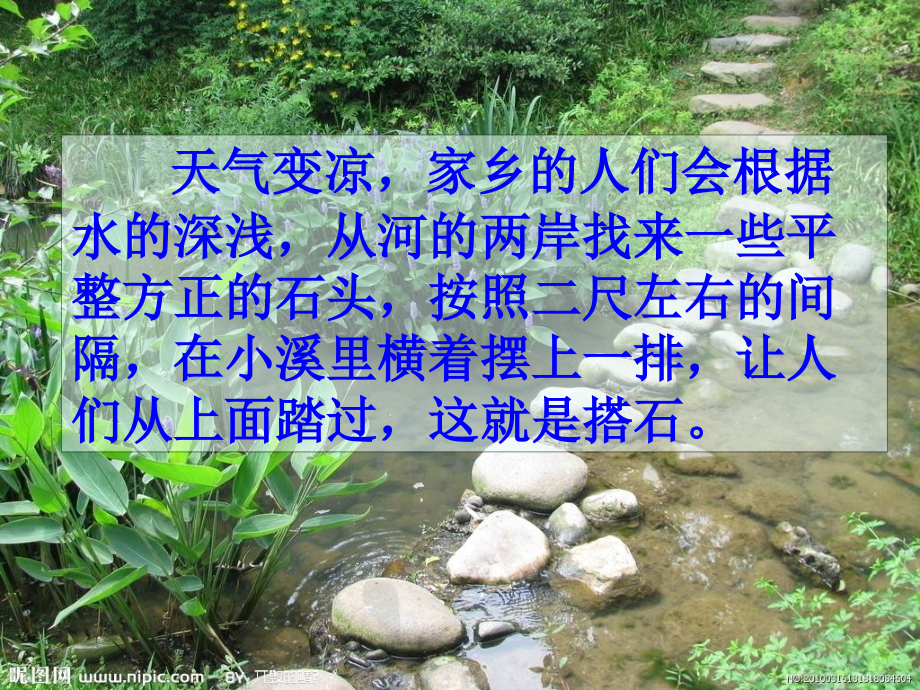 搭石预习知识专业知识讲座.ppt_第2页