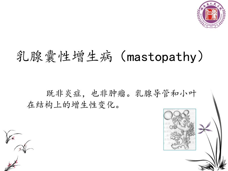 乳腺增生及常用药物介绍PPT.pptx_第2页