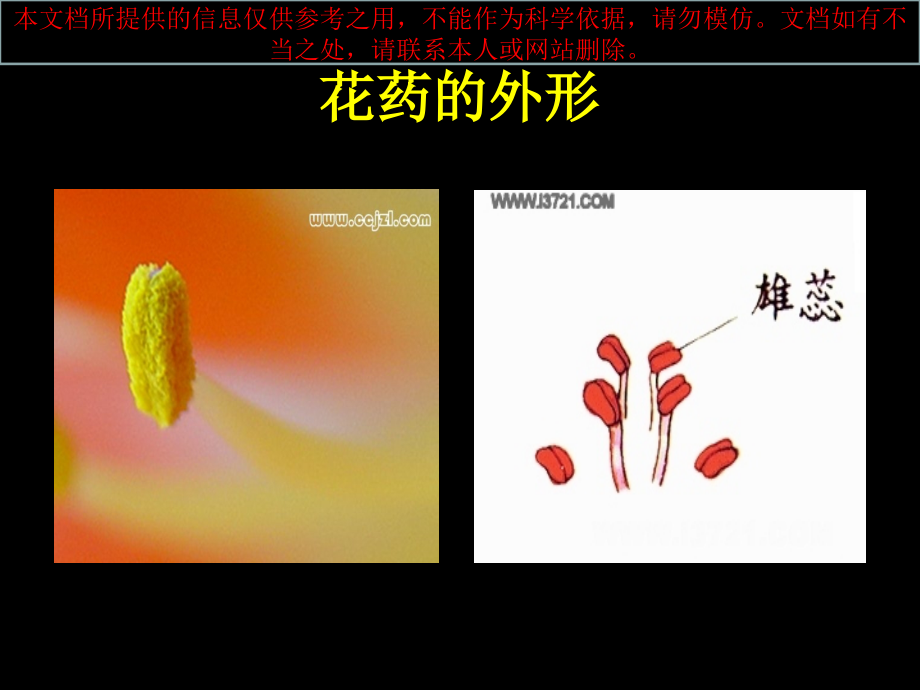 花药的发育和花粉粒的形成专业知识讲座.ppt_第2页