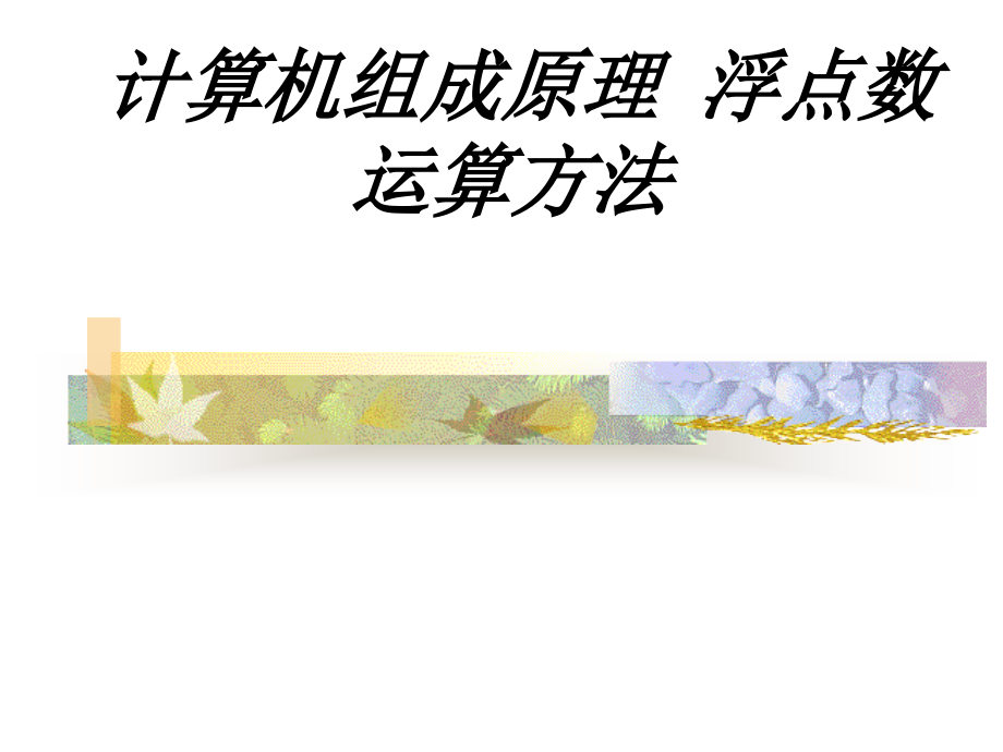 计算机组成原理-浮点数运算方法教育课件.ppt_第1页