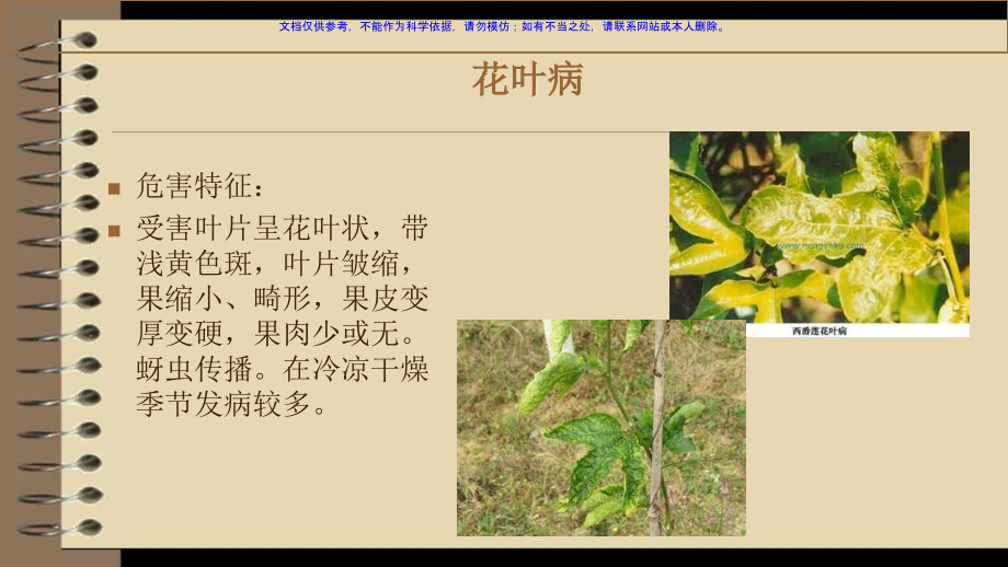 香果主要病虫害主题讲座课件.ppt_第1页