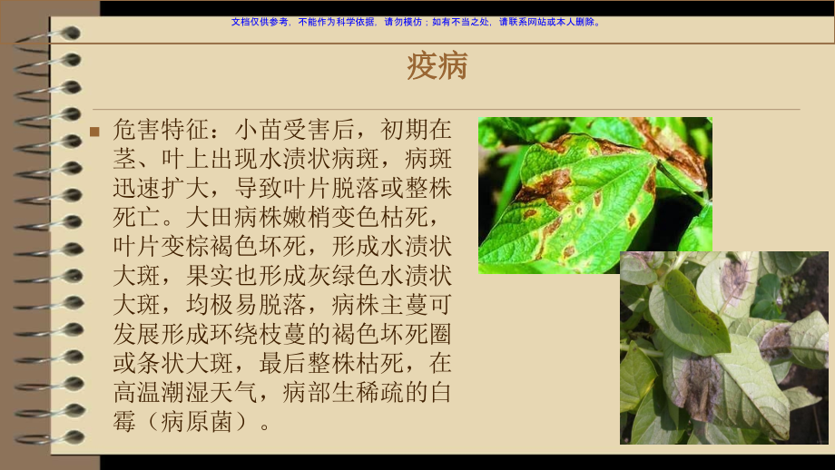 香果主要病虫害主题讲座课件.ppt_第2页