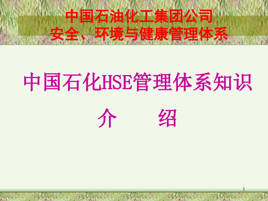 HSE管理体系知识介绍ppt.ppt_第1页