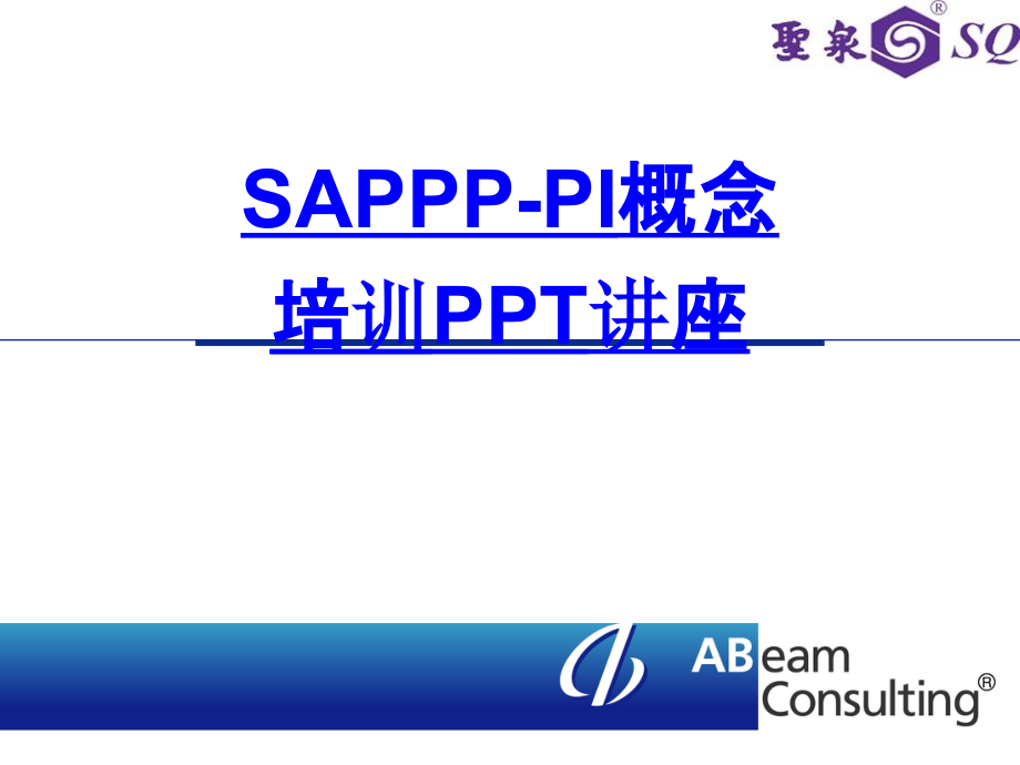 SAPPPPI概念培训教育课件.ppt_第1页