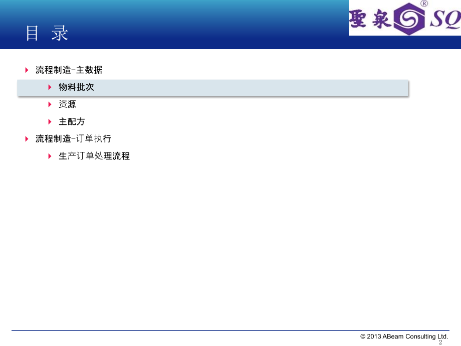 SAPPPPI概念培训教育课件.ppt_第2页