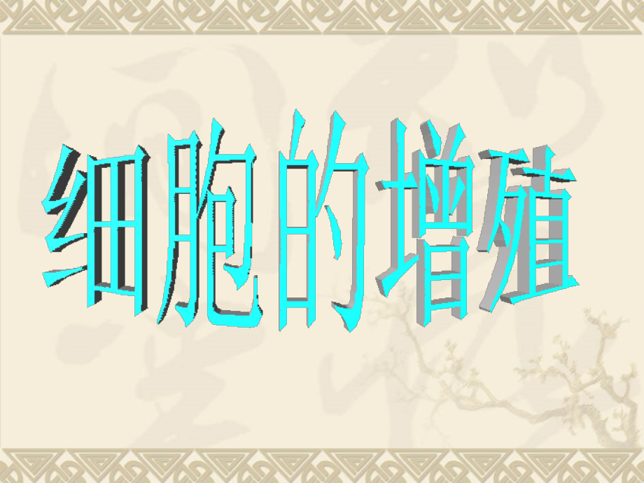 人教版高中生物必修一《细胞增殖》课件.ppt_第2页