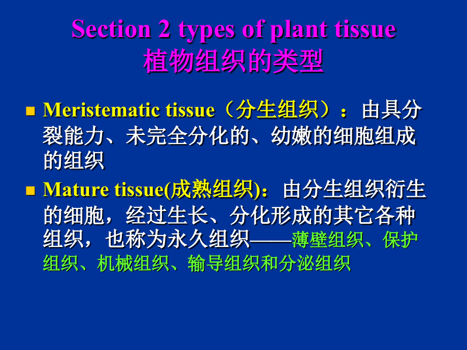 植物学之植物细胞.ppt_第2页