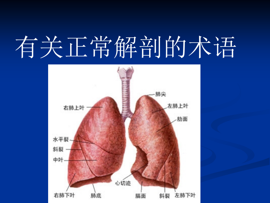 医学胸部影像征象图解.ppt_第2页