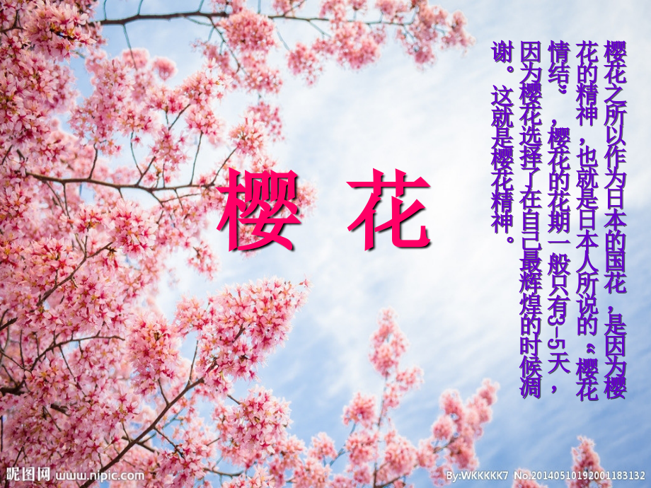 日本介绍幼儿园版专业知识讲座.ppt_第1页