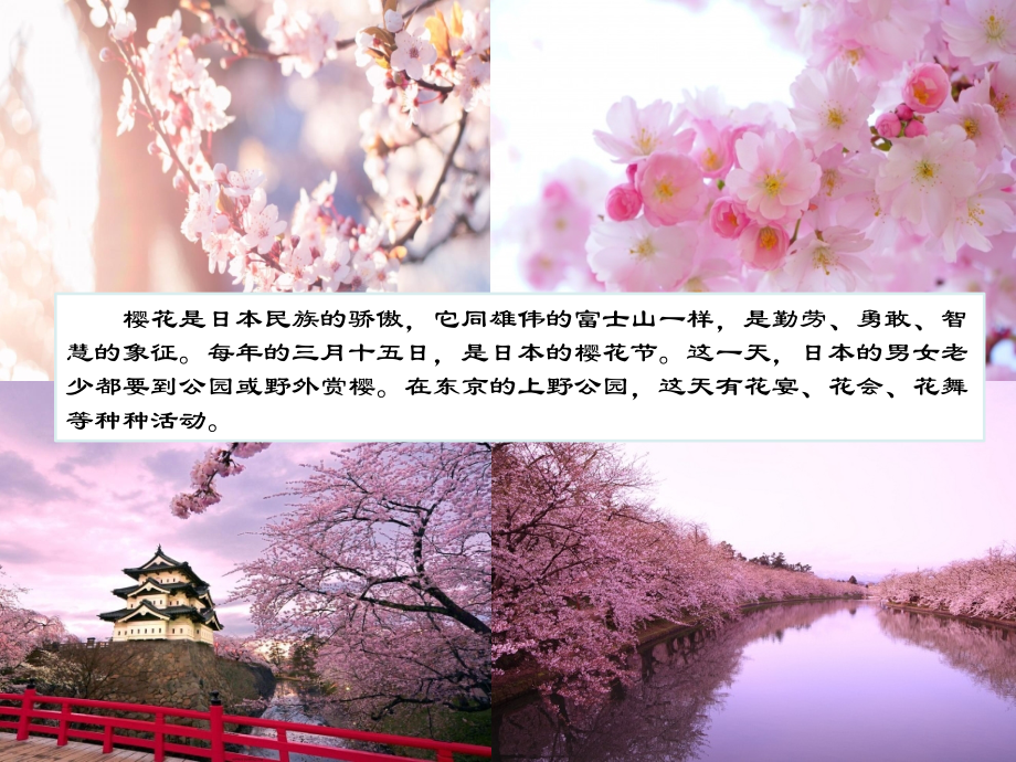 日本介绍幼儿园版专业知识讲座.ppt_第2页