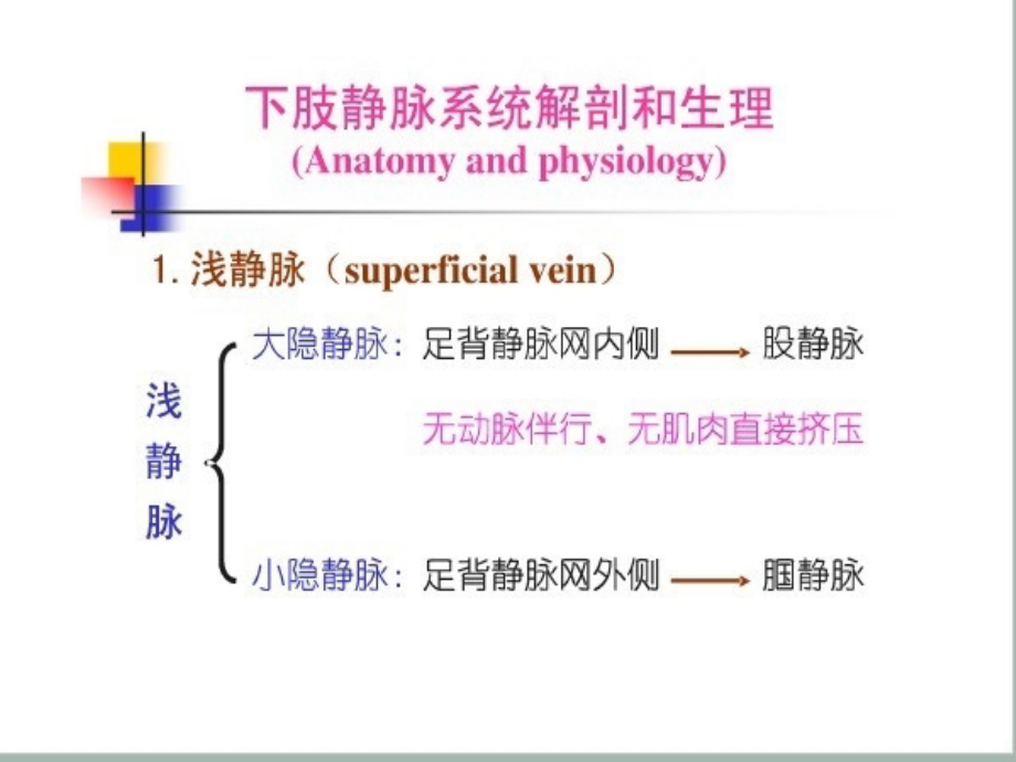大隐静脉曲张病人医疗护理主题讲座PPT.ppt_第2页