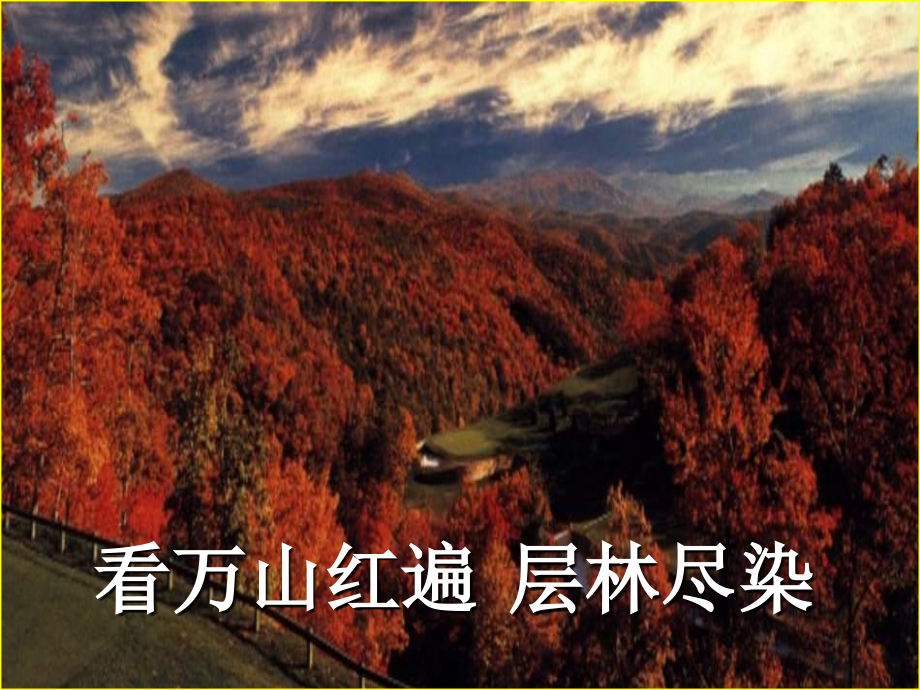 故都的秋实用专业知识讲座.ppt_第1页