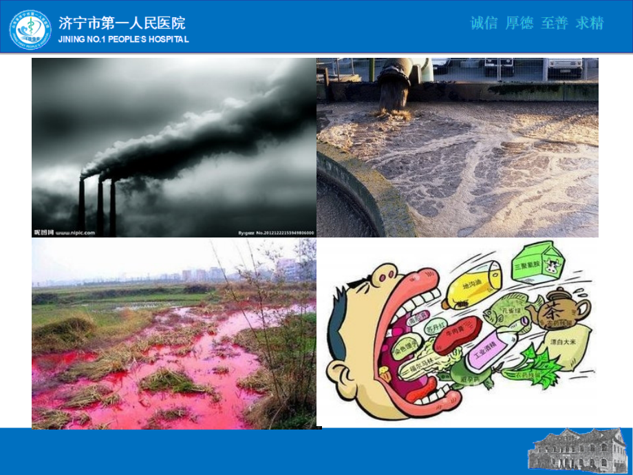 癌痛评估及护理PPT.ppt_第2页