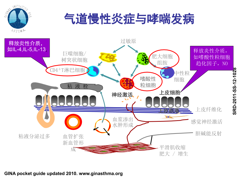 支气管哮喘指南解读主题讲座课件.ppt_第2页