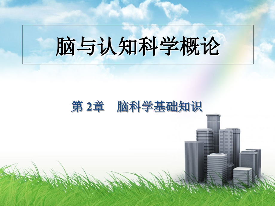 脑科学基础知识.ppt_第1页