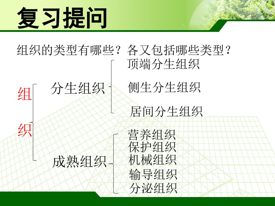 根的种类和根系的类型.ppt_第1页