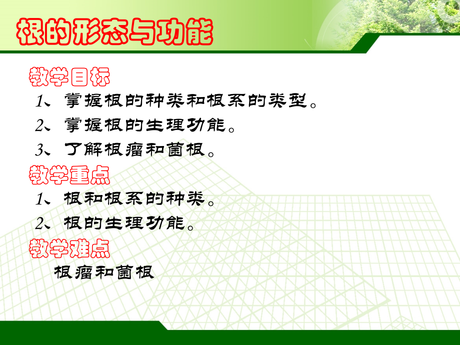 根的种类和根系的类型.ppt_第2页