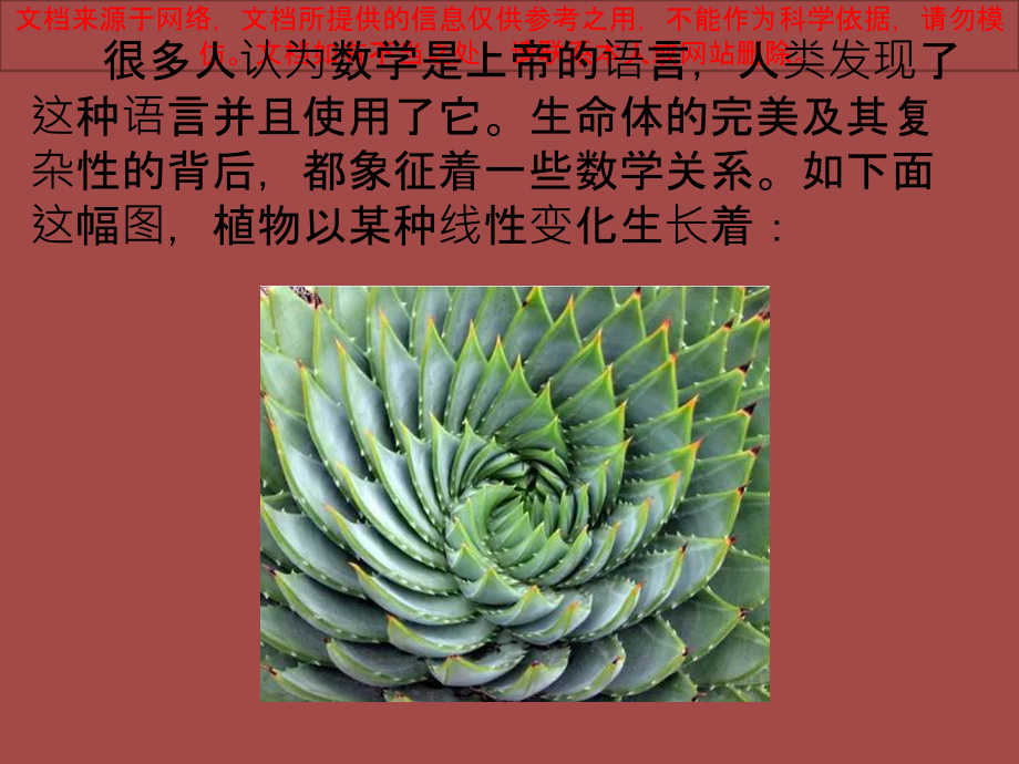 斐波那契螺旋线专业知识讲座.ppt_第1页