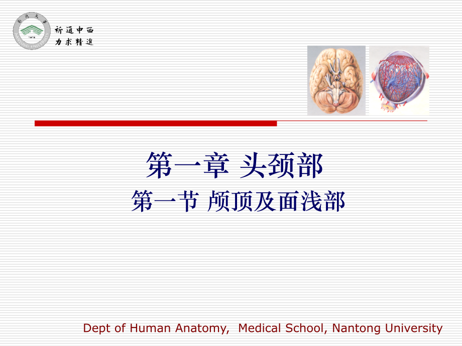 医用局部解剖学-颅面部(lv)课件.ppt_第1页