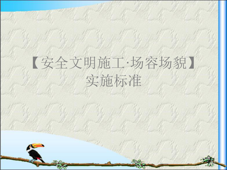 安全文明施工场容场貌实施标准.ppt_第1页