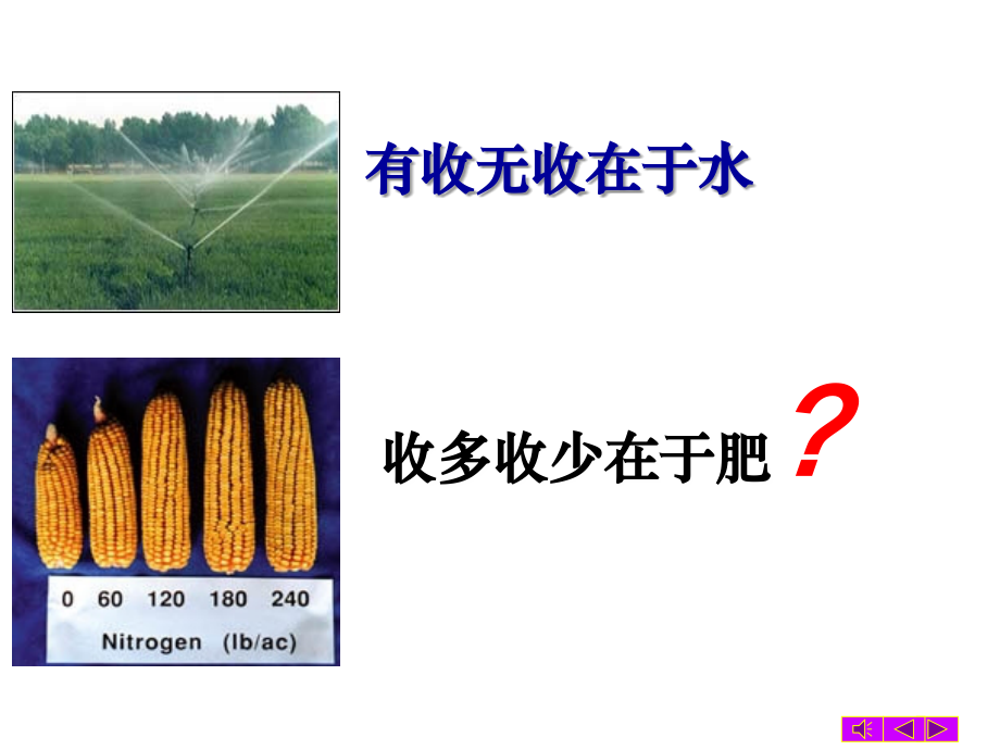 植物生理学之植物矿质营养主题讲座课件.ppt_第1页
