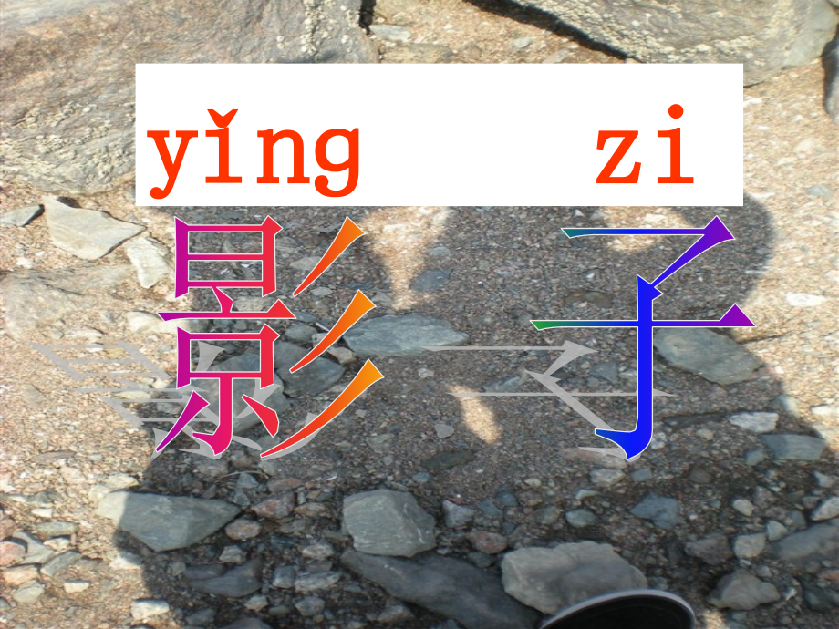 影子知识专业知识讲座.ppt_第1页