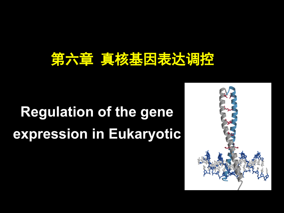 第六章-yxy-真核基因的表达与调控.ppt_第1页