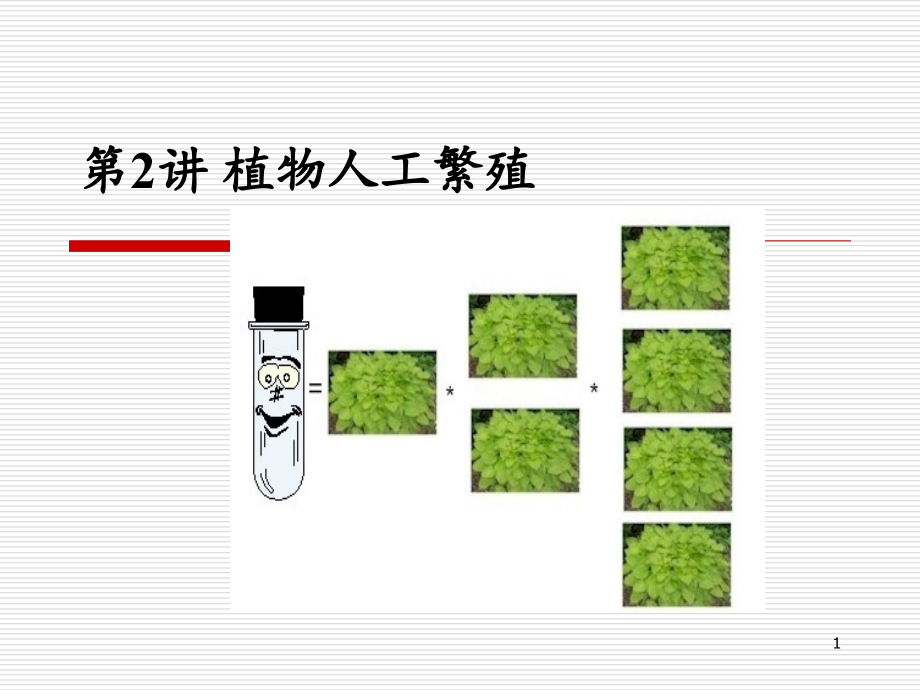 植物人工繁殖.ppt_第1页