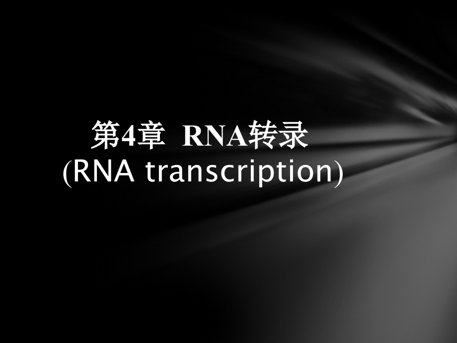 林木分子-RNA的转录.ppt_第1页