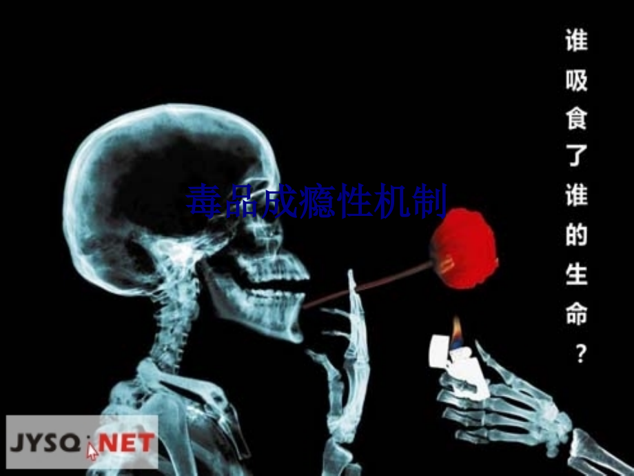 医学毒品成瘾性机制专题.ppt_第1页