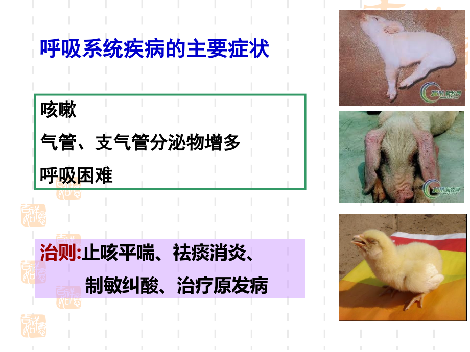 药理学呼吸系统药理主题讲座课件.ppt_第1页