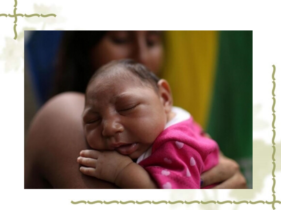 病毒知识宣讲优质PPT课件.ppt_第2页