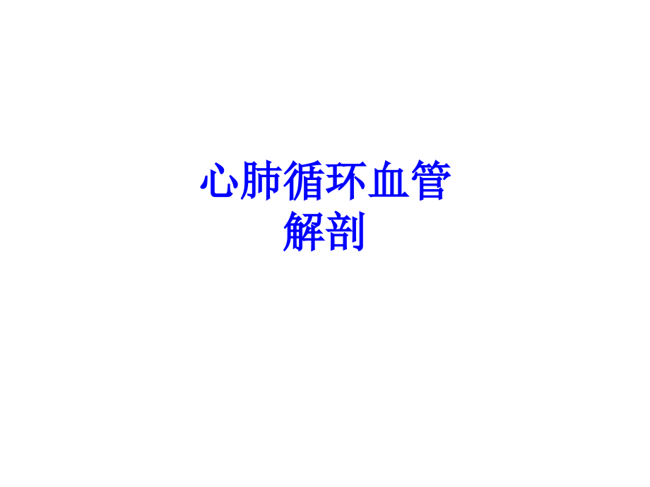 心肺循环血管解剖PPT.ppt_第1页