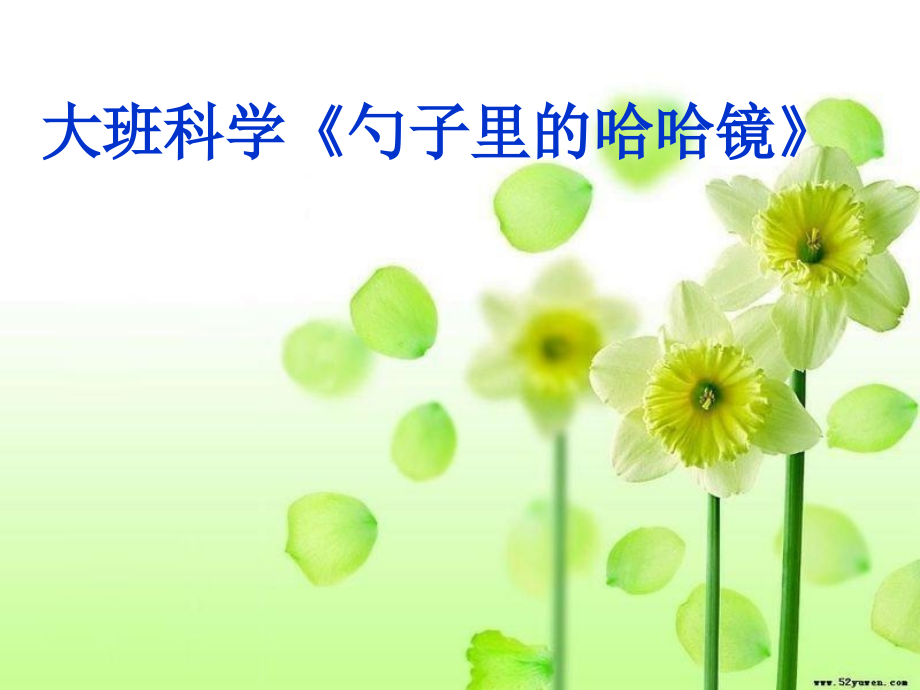 大班科学课件：《勺子里的哈哈镜》.ppt_第1页