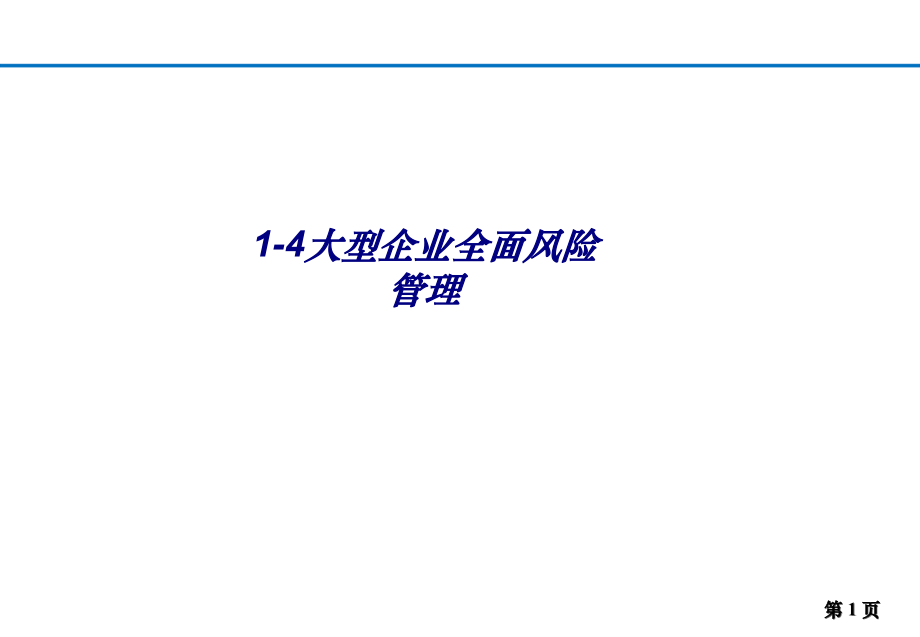 大型企业全面风险管理.ppt_第1页