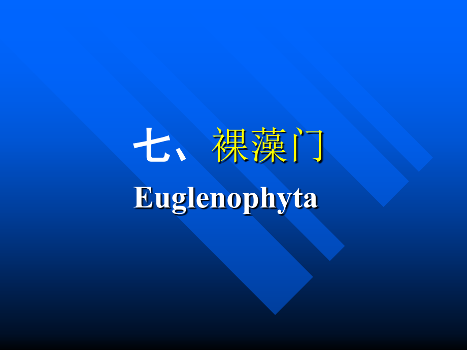 4-裸藻门.ppt_第1页