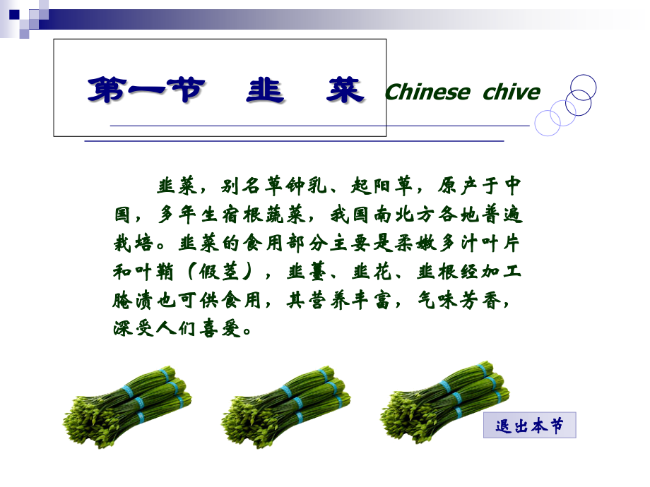 第一节韭菜.ppt_第1页