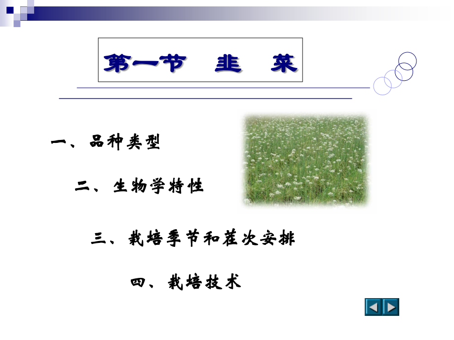 第一节韭菜.ppt_第2页