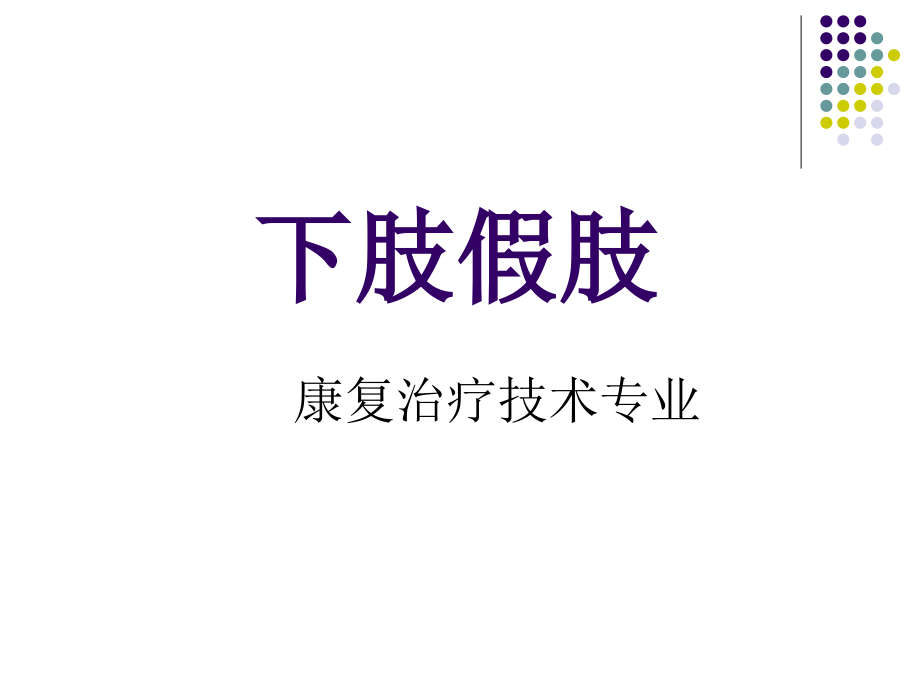 5下肢假肢概述.ppt_第1页