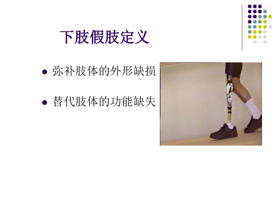 5下肢假肢概述.ppt_第2页