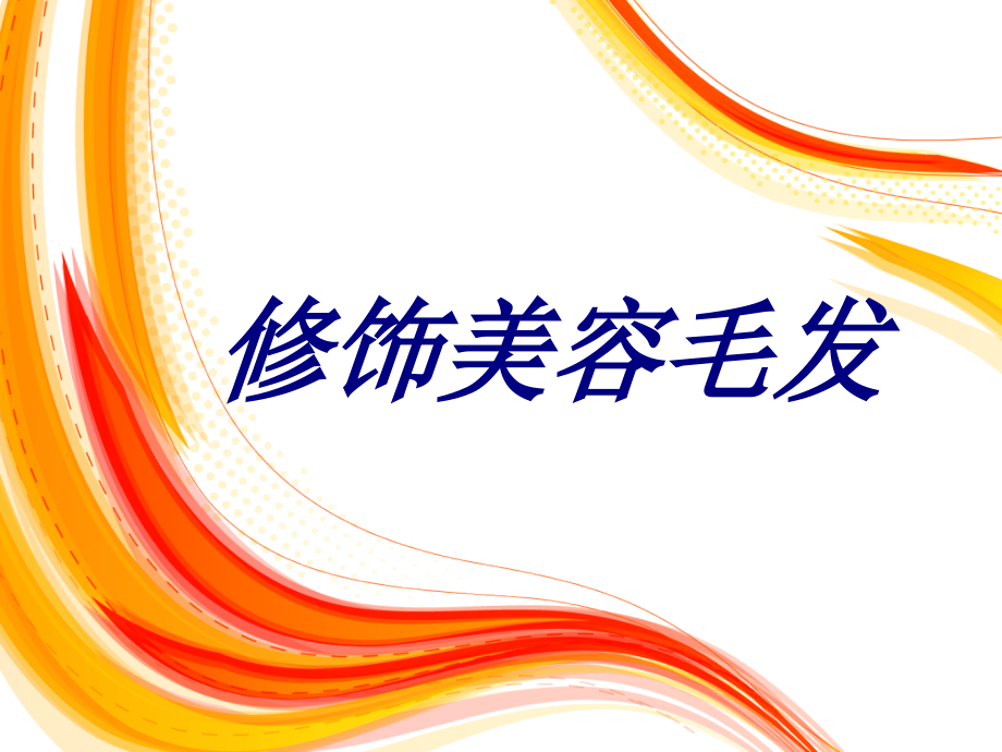 修饰美容毛发PPT.ppt_第1页