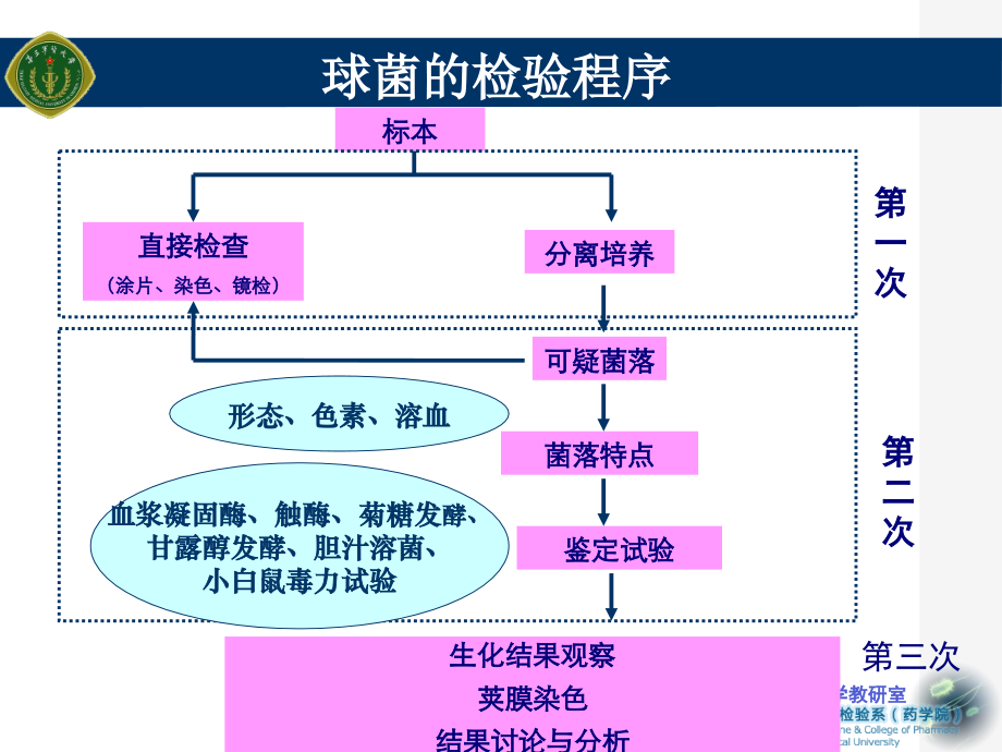 球菌的培养和鉴定实验主题讲座课件.ppt_第2页