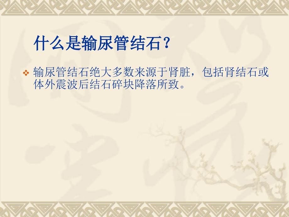 医学课件输尿管结石医疗护理查房宣讲.ppt_第2页